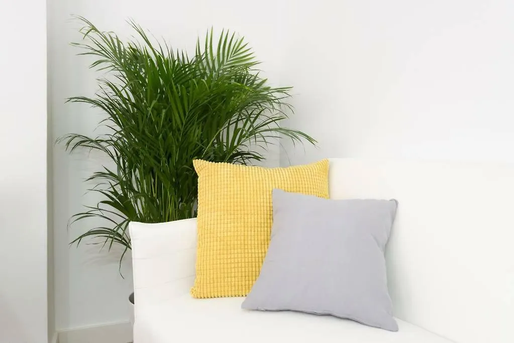 Apartment Lyrioshomes Malaga Cervantes Spain